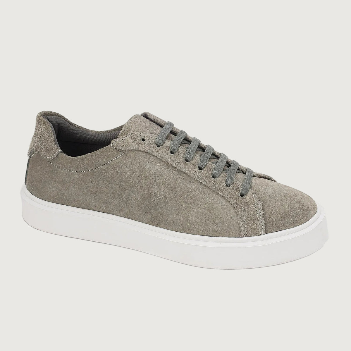 DAILY EDGE GREY