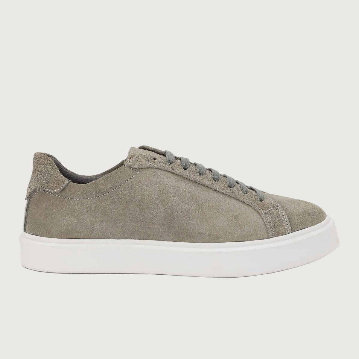 DAILY EDGE GREY