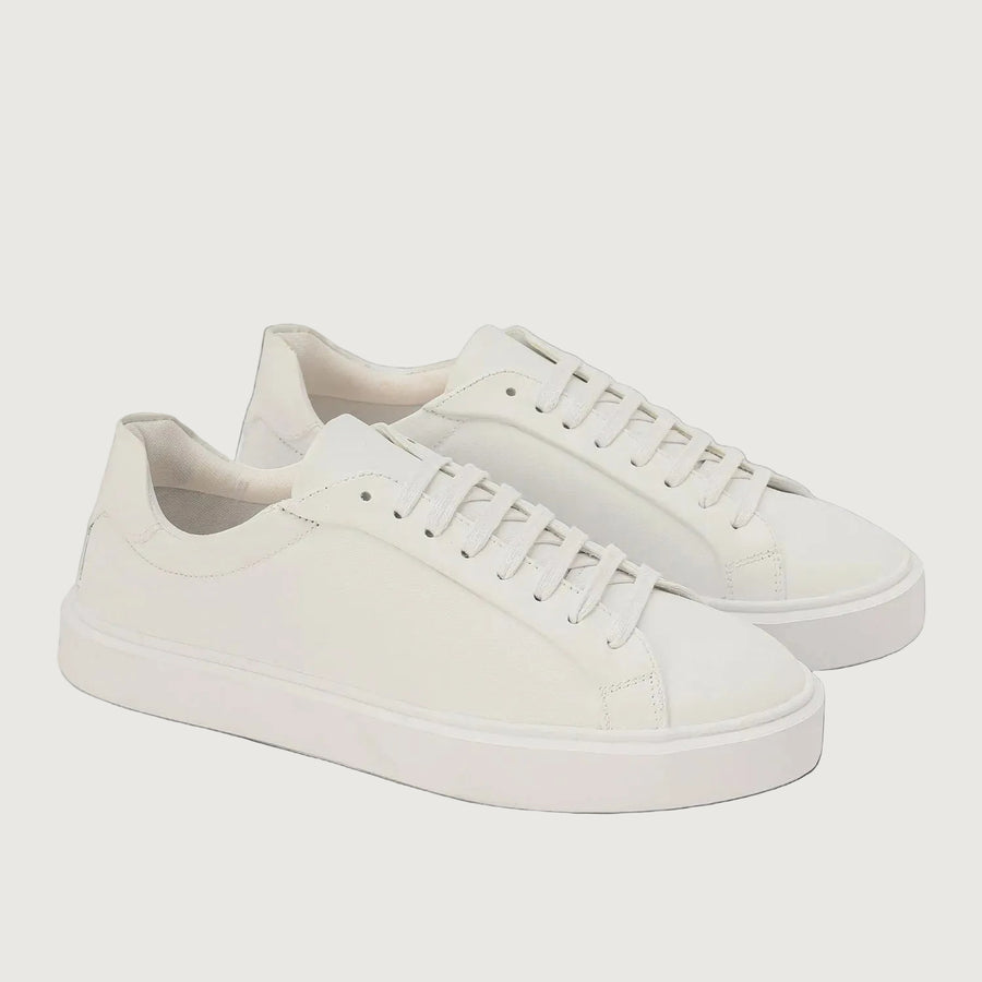 DAILY EDGE WHITE