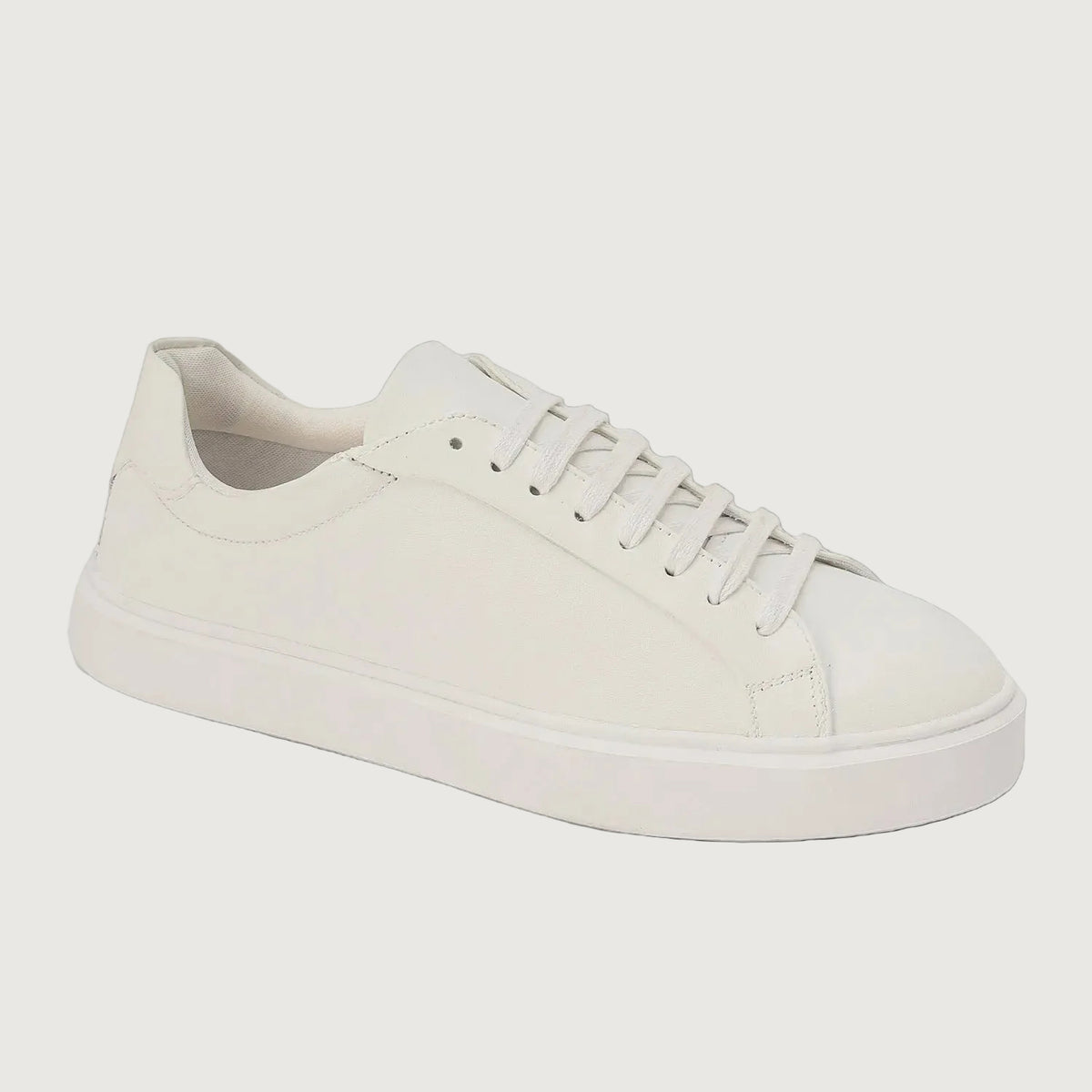 DAILY EDGE WHITE
