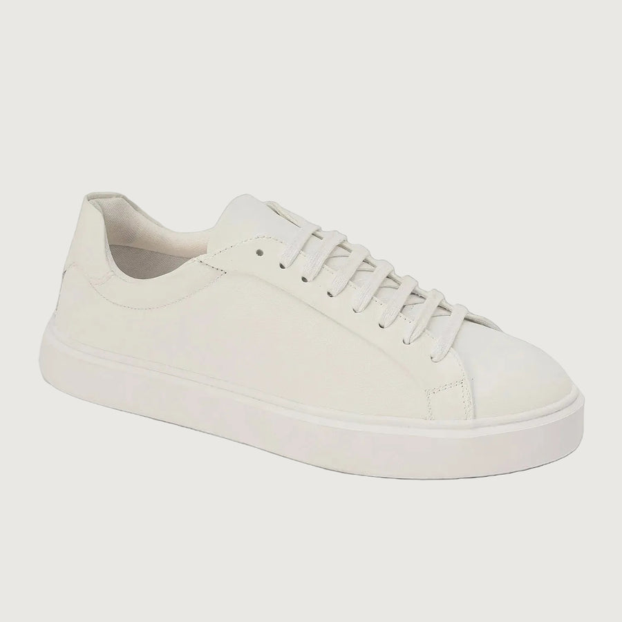 DAILY EDGE WHITE