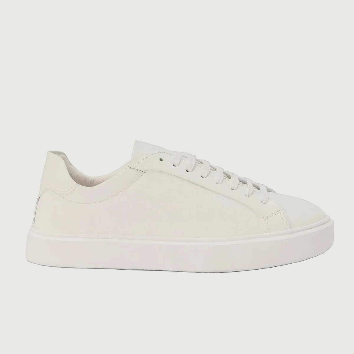 DAILY EDGE WHITE