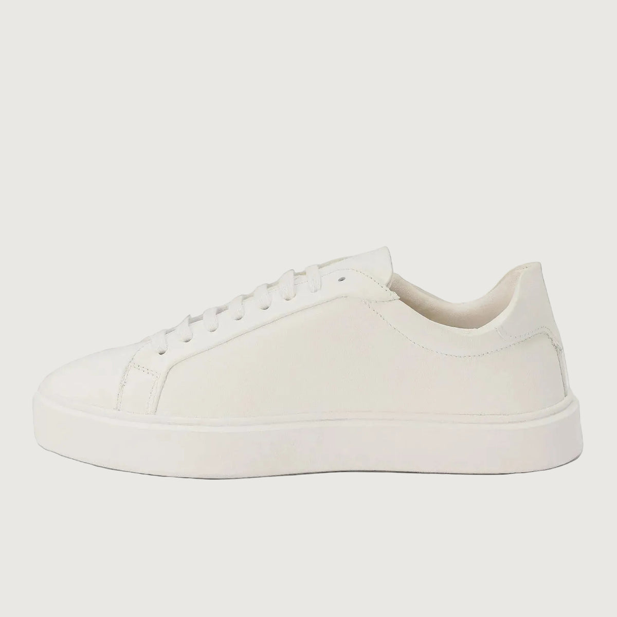 DAILY EDGE WHITE